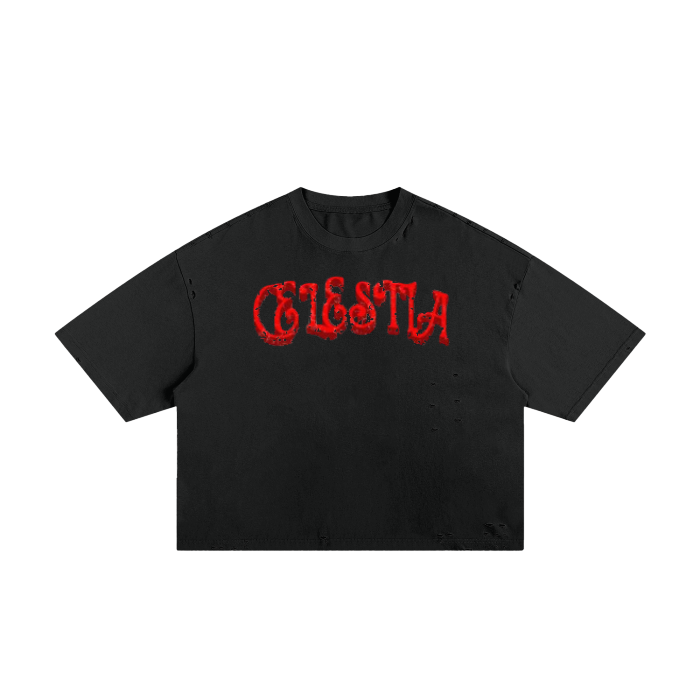 CELESTIA SMALL CIRCLE BIG CHECKS Frayed Boxy Tee